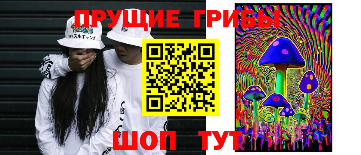 Кимры  Галлюциногенные грибы MAGIC MUSHROOMS  Вход с VPN 